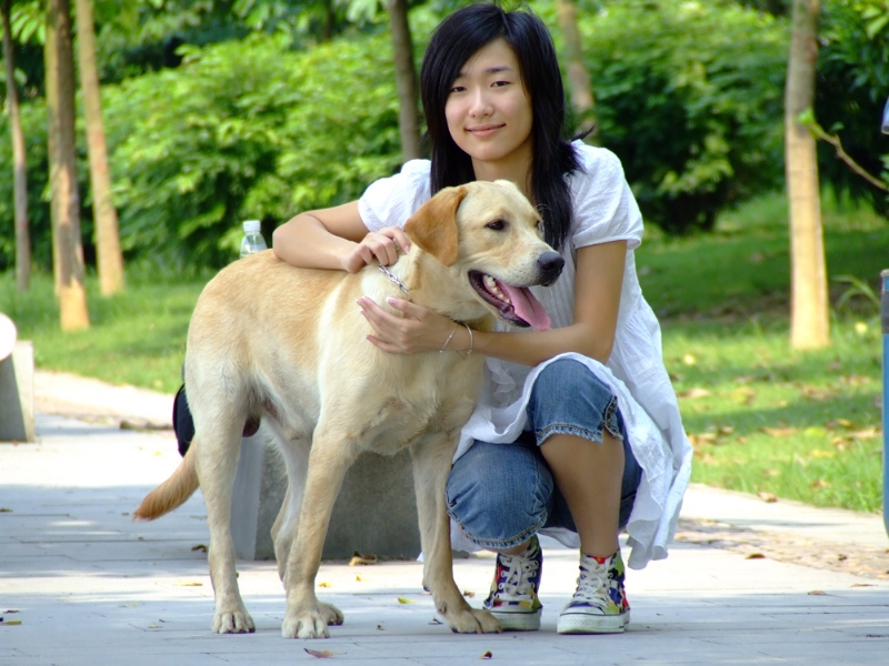 风中的绿叶的第一张照片--荆州相亲服务中心