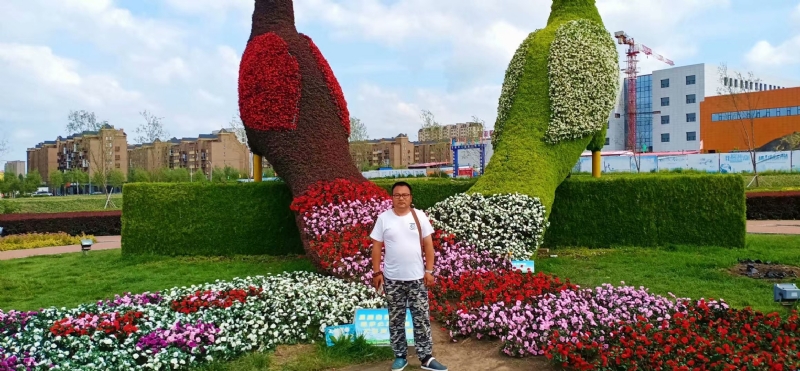 尘埃的第一张照片--荆州相亲服务中心