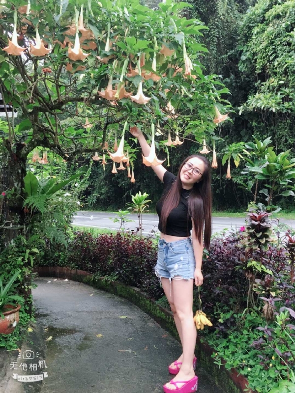离异单身无子的第二张照片--荆州相亲服务中心