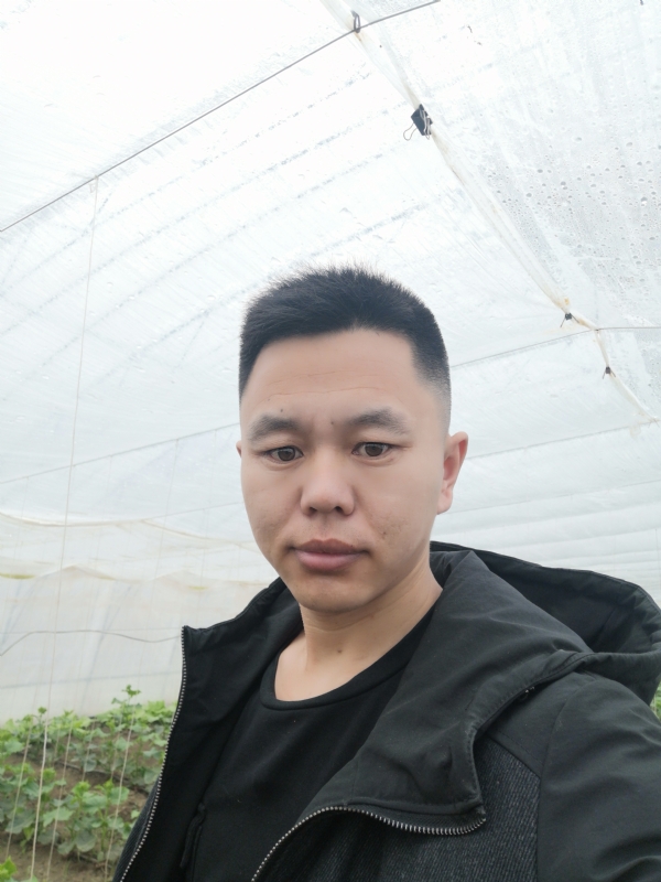 宇成的第二张照片--荆州相亲服务中心