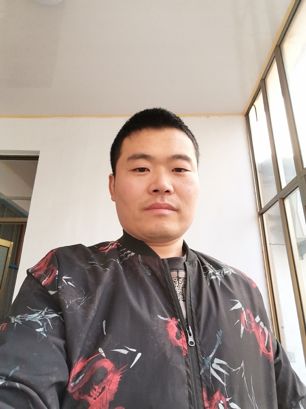 会飞的猪的第一张照片--荆州相亲服务中心