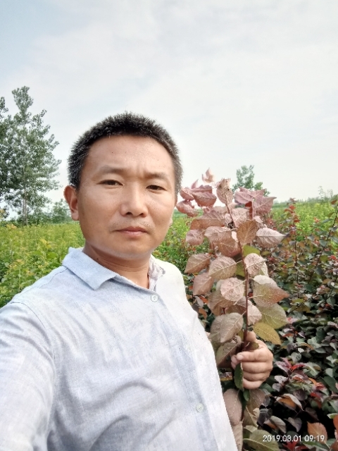 孩子爸的第一张照片--荆州相亲服务中心