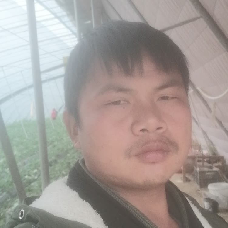 孤狼‘的第一张照片--荆州相亲服务中心