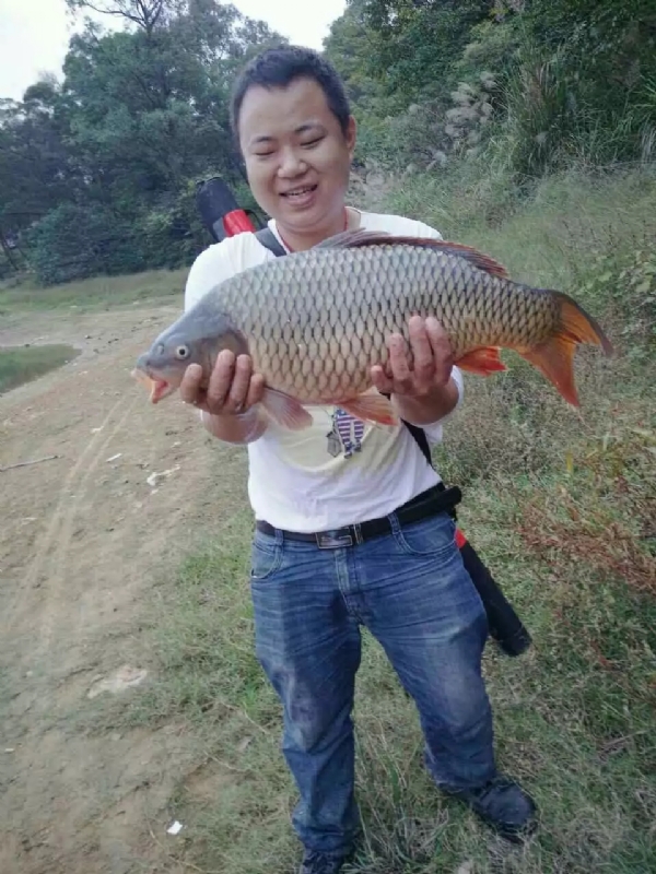 迷路的男人的第一张照片--荆州相亲服务中心