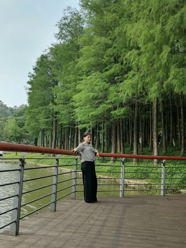 遗失的记忆的第二张照片--荆州相亲服务中心