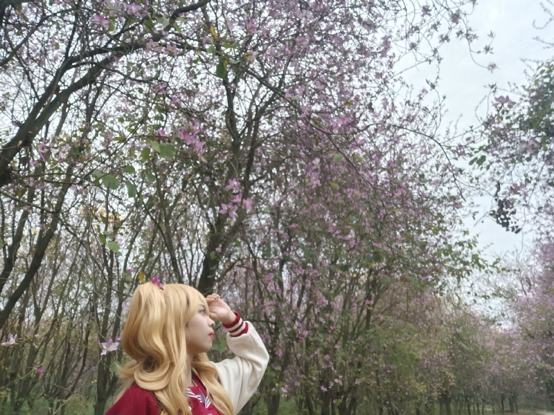 暮秋的第五张照片--荆州相亲服务中心