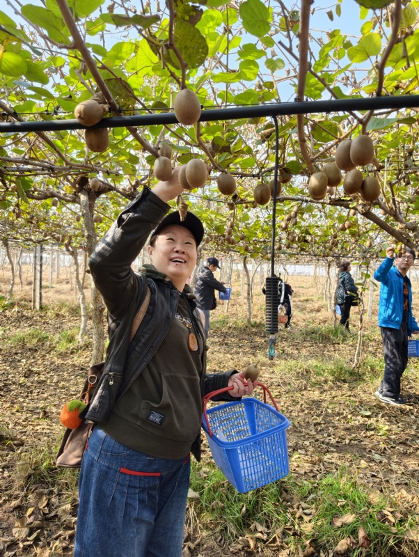 夜莺的第三张照片--荆州相亲服务中心